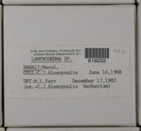 Image Associated With the Occurence